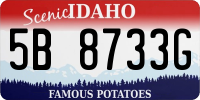 ID license plate 5B8733G