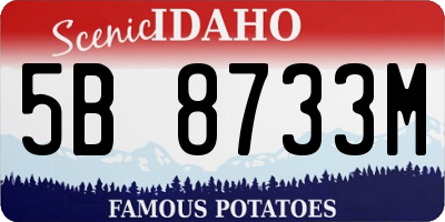 ID license plate 5B8733M