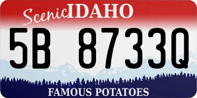 ID license plate 5B8733Q
