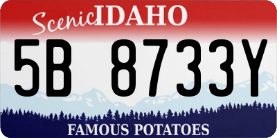 ID license plate 5B8733Y