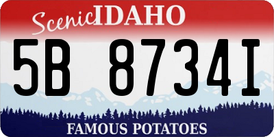 ID license plate 5B8734I
