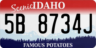 ID license plate 5B8734J