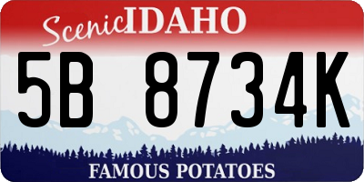 ID license plate 5B8734K