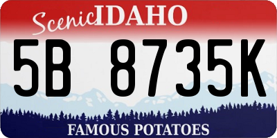ID license plate 5B8735K