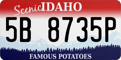 ID license plate 5B8735P