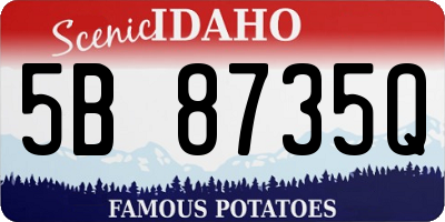 ID license plate 5B8735Q