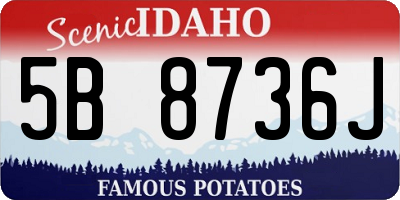 ID license plate 5B8736J