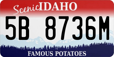 ID license plate 5B8736M