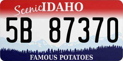 ID license plate 5B8737O