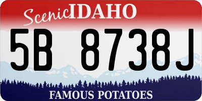 ID license plate 5B8738J
