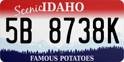 ID license plate 5B8738K