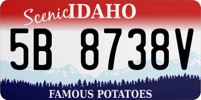 ID license plate 5B8738V