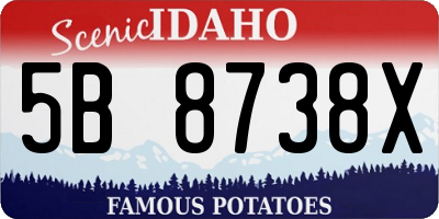 ID license plate 5B8738X