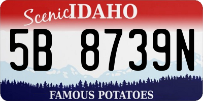 ID license plate 5B8739N