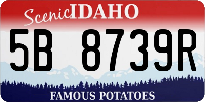 ID license plate 5B8739R