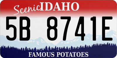 ID license plate 5B8741E