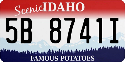 ID license plate 5B8741I