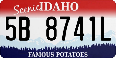 ID license plate 5B8741L