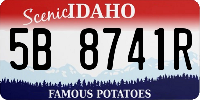 ID license plate 5B8741R