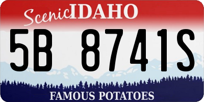 ID license plate 5B8741S