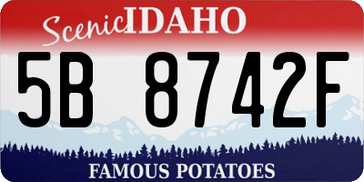 ID license plate 5B8742F