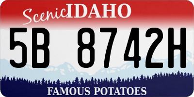 ID license plate 5B8742H