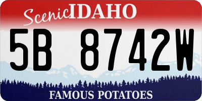 ID license plate 5B8742W