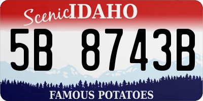 ID license plate 5B8743B