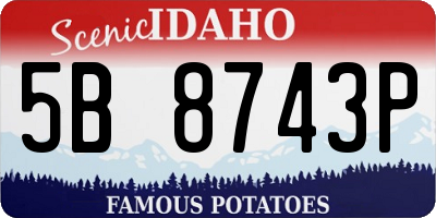 ID license plate 5B8743P