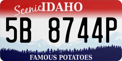 ID license plate 5B8744P