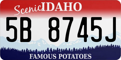 ID license plate 5B8745J