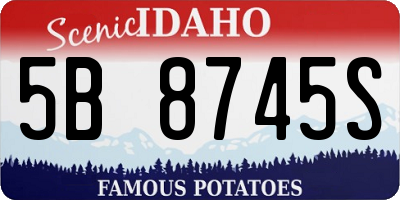 ID license plate 5B8745S