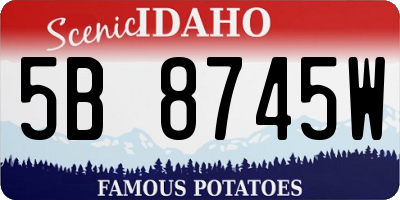 ID license plate 5B8745W