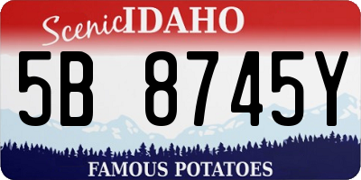 ID license plate 5B8745Y