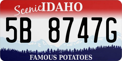 ID license plate 5B8747G