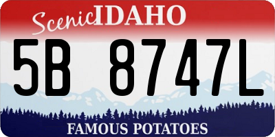 ID license plate 5B8747L