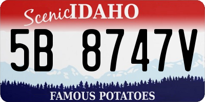 ID license plate 5B8747V