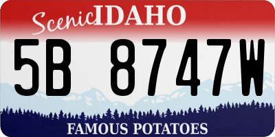 ID license plate 5B8747W