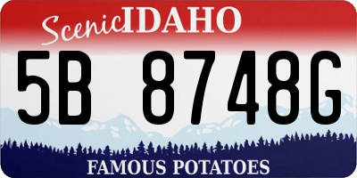 ID license plate 5B8748G