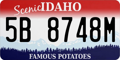 ID license plate 5B8748M