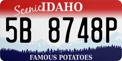 ID license plate 5B8748P