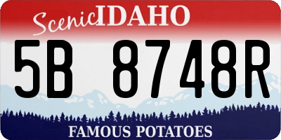 ID license plate 5B8748R