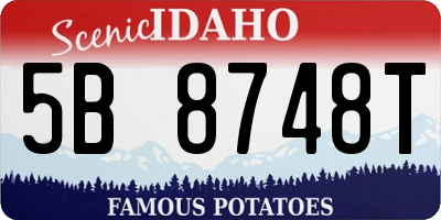 ID license plate 5B8748T