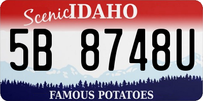 ID license plate 5B8748U