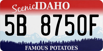 ID license plate 5B8750F