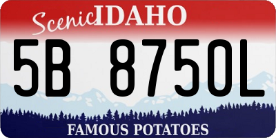 ID license plate 5B8750L