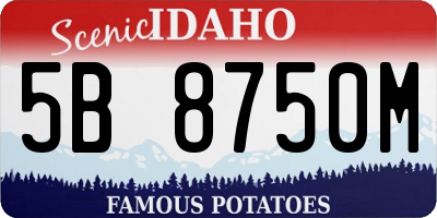 ID license plate 5B8750M