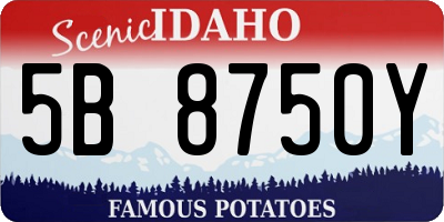 ID license plate 5B8750Y