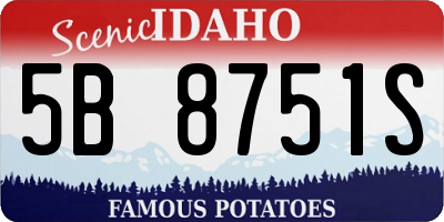 ID license plate 5B8751S