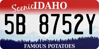 ID license plate 5B8752Y